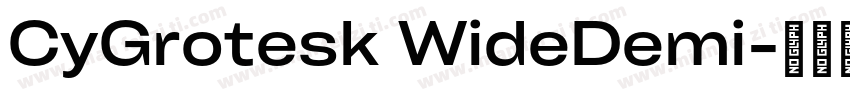 CyGrotesk WideDemi字体转换